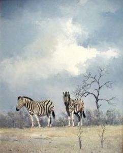 "Zebras 2"