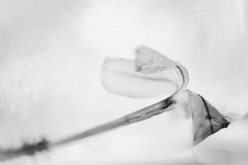 "Frozen #8"