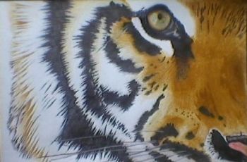 "Tiger 6"