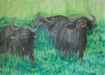 "Buffalo"