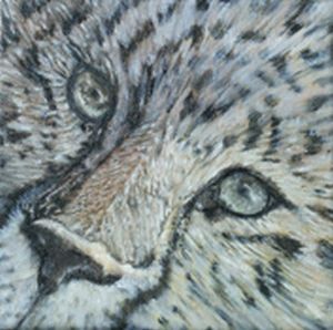 "Cheetah Eyes"