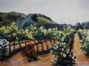 "Summer Vineyard"