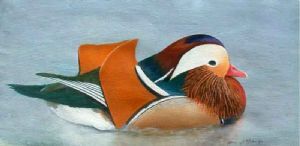 "Tranquil Mandarin"