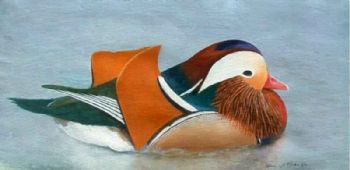 "Tranquil Mandarin"