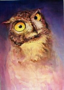 "Cape Eagle Owl"