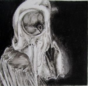 "Juvenile Baboon Skull 7"