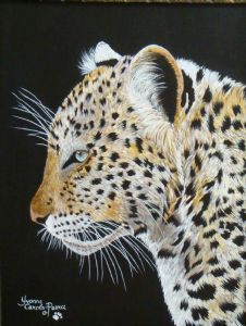 "Leopard Head"