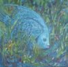 "Grey Angelfish"