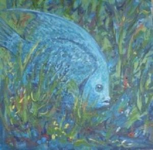 "Grey Angelfish"