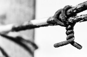"Wire #1"