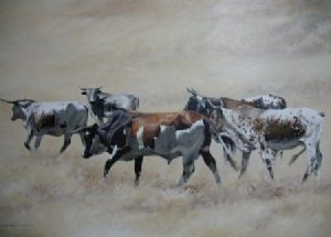 "Nguni Cattle"