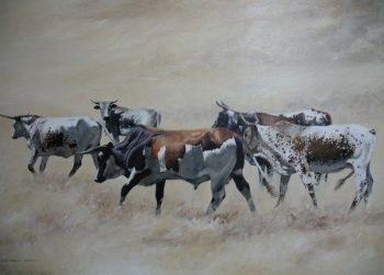 "Nguni Cattle"