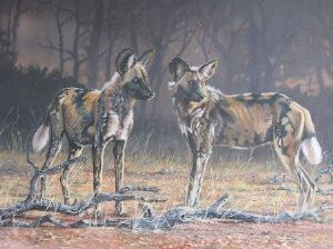 "Wild Dogs"