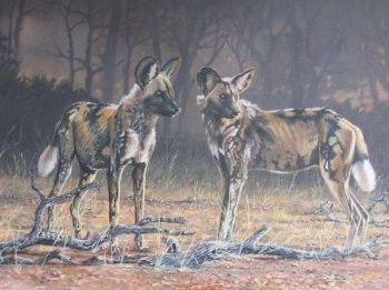 "Wild Dogs"