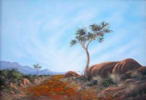 "Namaqualand Splendour"