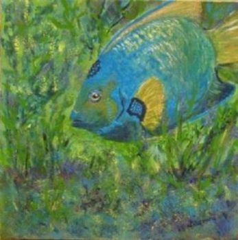 "Queen Angelfish"