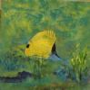 "Mandarinfish"