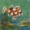 "Many-spotted Sweetlips"