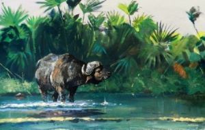 "Buffalo Island"