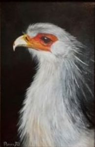 "Secretary Bird"