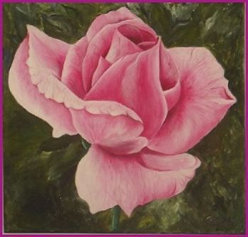 "Pink Rose"