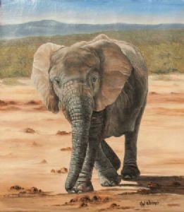 "Lady Elephant"