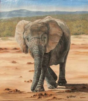 "Lady Elephant"