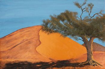 "Desert Shadow"