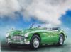 "Austin Healey"