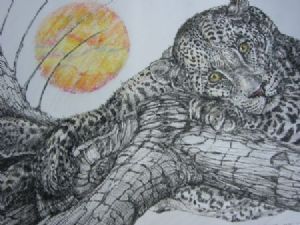 "Leopard – Awake at Sunset"