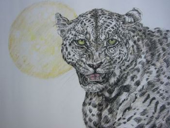 "Leopard's Moon"