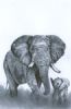 "Mother and Baby"