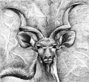 "Kudu"
