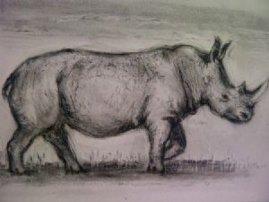 "Rhino"