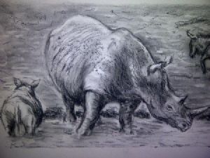 "Rhino and Calf"