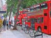 "London Buses"