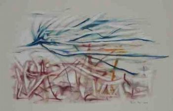 "Summer Little Karoo Landscape"