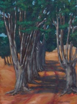 "Bluegum Tree Lane"