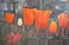 "Courtyard Tulips 1"