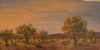 "Bushveld Glow"