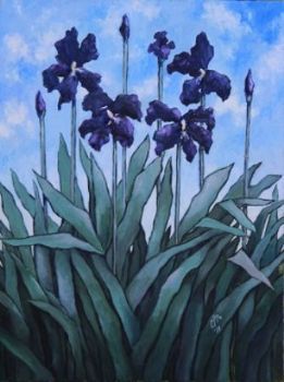 "Blue Iris"