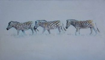 "3 Zebras"