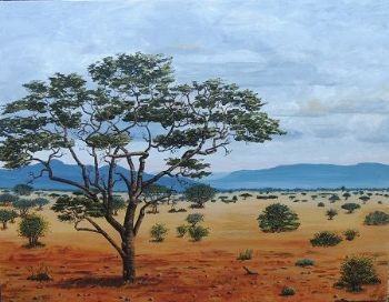 "Bushveld"