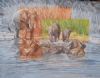 "Elephants Bathing"