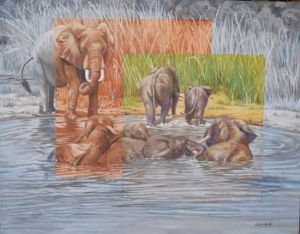 "Elephants Bathing"
