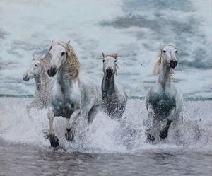 "Dashing Through Water"