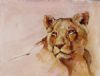 "Portrait of a Lion"