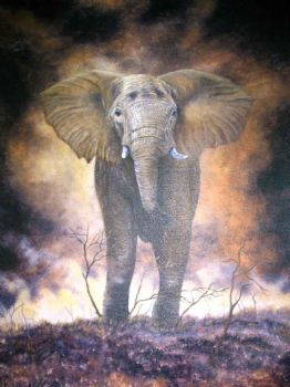 "Veld Fire  Giclee Oil print"