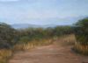 "Into the Lions' Den, Kruger National Park Roads"