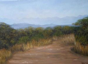 "Into the Lions' Den, Kruger National Park Roads"